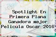 Spotlight En Primera Plana Ganadora <b>mejor Pelicula Oscar 2016</b>