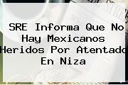 SRE Informa Que No Hay Mexicanos Heridos Por Atentado En <b>Niza</b>