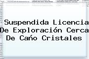 Suspendida Licencia De Exploración Cerca De <b>Caño Cristales</b>