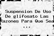 Suspension De Uso De <b>glifosato</b> Las Razones Para Que Sea <b>...</b>
