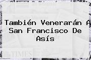 También Venerarán A <b>San Francisco De Asís</b>