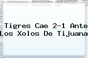 <b>Tigres</b> Cae 2-1 Ante Los Xolos De <b>Tijuana</b>