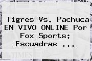 Tigres Vs. Pachuca EN <b>VIVO</b> ONLINE Por <b>Fox Sports</b>: Escuadras ...
