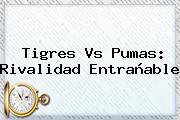 <b>Tigres Vs Pumas</b>: Rivalidad Entrañable