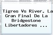 <b>Tigres Vs</b> River, La Gran Final De La Bridgestone Libertadores