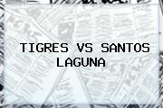 <b>TIGRES VS SANTOS</b> LAGUNA