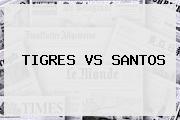 <b>Tigres Vs. Santos</b>