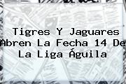 Tigres Y Jaguares Abren La Fecha 14 De La <b>Liga Águila</b>