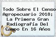Todo Sobre El <b>Censo</b> Agropecuario <b>2018</b>: La Primera Gran Radiografía Del Campo En 16 Años