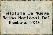 ¡Tolima La Nueva <b>Reina Nacional Del Bambuco 2016</b>!