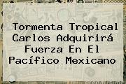 Tormenta Tropical <b>Carlos</b> Adquirirá Fuerza En El Pacífico Mexicano