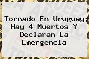 <b>Tornado En Uruguay</b>: Hay 4 Muertos Y Declaran La Emergencia