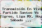 Transmisión En Vivo Partido <b>Santos Vs Tigres</b>, Liga MX, Hoy Sábado <b>...</b>