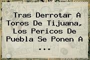 Tras Derrotar A Toros De Tijuana, Los <b>Pericos De Puebla</b> Se Ponen A ...