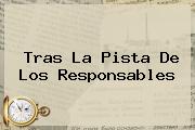 <u>Tras La Pista De Los Responsables</u>