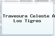 Travesura Celeste A Los <b>Tigres</b>