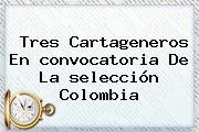 Tres Cartageneros En <b>convocatoria</b> De La <b>selección Colombia</b>