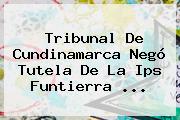 Tribunal De Cundinamarca Negó Tutela De La Ips Funtierra ...