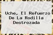 <b>Uche</b>, El Refuerzo De La Rodilla Destrozada