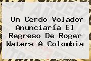 Ver un cerdo volador anunciaria el regreso de roger waters a colombia Un Cerdo Volador Anunciaría El Regreso De <b>Roger Waters</b> A Colombia