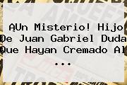 ¡Un Misterio! Hijo De <b>Juan Gabriel</b> Duda Que Hayan Cremado Al ...