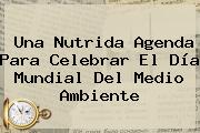 Ver una nutrida agenda para celebrar el dia mundial del medio ambiente Una Nutrida Agenda Para Celebrar El <b>Día Mundial Del Medio Ambiente</b>