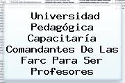 <b>Universidad Pedagógica</b> Capacitaría Comandantes De Las Farc Para Ser Profesores