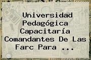 <b>Universidad Pedagógica</b> Capacitaría Comandantes De Las Farc Para ...