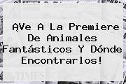 ¡Ve A La Premiere De <b>Animales Fantásticos Y Dónde Encontrarlos</b>!
