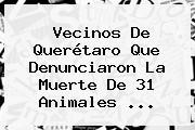 Vecinos De <b>Querétaro</b> Que Denunciaron La Muerte De 31 Animales <b>...</b>
