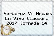 <b>Veracruz Vs Necaxa</b> En Vivo Clausura 2017 Jornada 14