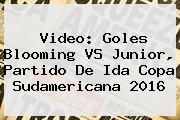 Video: Goles <b>Blooming</b> VS Junior, Partido De Ida Copa Sudamericana 2016