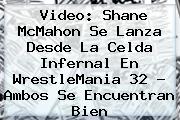 Video: <b>Shane McMahon</b> Se Lanza Desde La Celda Infernal En WrestleMania 32 ? Ambos Se Encuentran Bien
