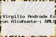 <b>Virgilio Andrade</b> Es ?un Alcahuete?: AMLO