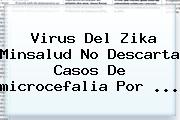 Virus Del Zika Minsalud No Descarta Casos De <b>microcefalia</b> Por <b>...</b>