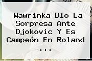 <b>Wawrinka</b> Dio La Sorpresa Ante Djokovic Y Es Campeón En Roland <b>...</b>