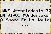 <b>WWE</b> WrestleMania 32 EN VIVO: ¡Undertaker Y Shane En La Jaula <b>...</b>