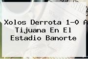 Xolos Derrota 1-0 A <b>Tijuana</b> En El Estadio Banorte