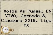 Ver xolos vs pumas en vivo jornada 8 clausura 2018 liga mx Xolos Vs Pumas: EN <b>VIVO</b>, Jornada 8, Clausura 2018, Liga MX