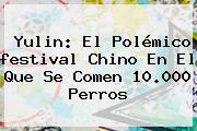 <b>Yulin</b>: El Polémico <b>festival</b> Chino En El Que Se Comen 10.000 Perros