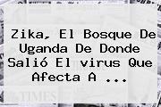 <b>Zika</b>: El Bosque De Uganda De Donde Salió El <b>virus</b> Que Afecta A <b>...</b>