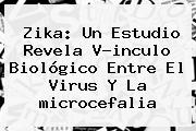Zika: Un Estudio Revela V?inculo Biológico Entre El Virus Y La <b>microcefalia</b>