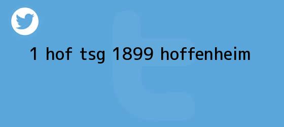 trinos de <b>1 HOF TSG 1899 Hoffenheim</b>
