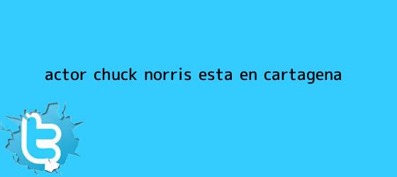 trinos de Actor <b>Chuck Norris</b> está en Cartagena
