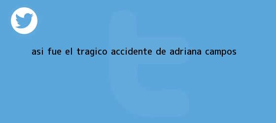 trinos de Así fue el trágico accidente de <b>Adriana Campos</b>