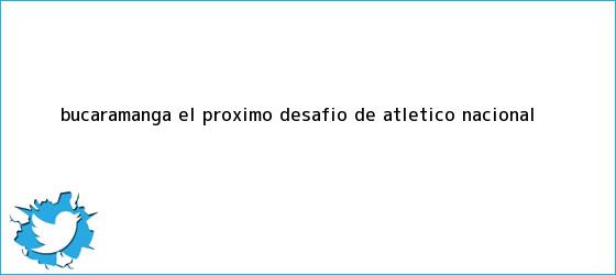 trinos de Bucaramanga, el próximo desafío de <b>Atlético Nacional</b>