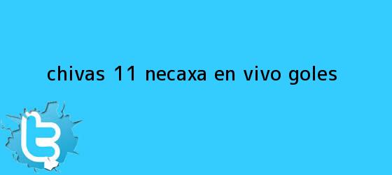 trinos de <b>Chivas</b> 1-1 <b>Necaxa</b> en vivo: GOLES