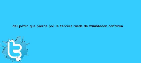 trinos de Del Potro, que pierde por la tercera rueda de <b>Wimbledon</b>, continúa ...