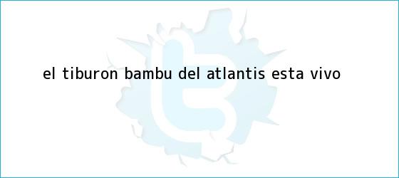 trinos de El <b>tiburón Bambú</b> del Atlantis ¡está vivo!