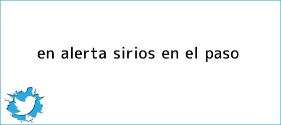 trinos de En alerta, <b>sirios</b> en El <b>Paso</b>